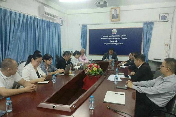 老挝万象中老翻译：专业老挝语翻译服务的关键桥梁